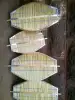 Oval large size kayamba 